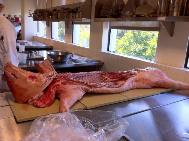 pig_half